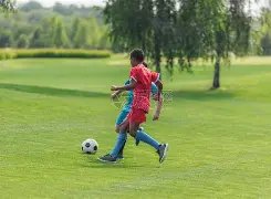 山东高速男,多点开花需,攻克弱点,彩神争霸,彩票平台,安全购彩,彩票投注,在线彩票