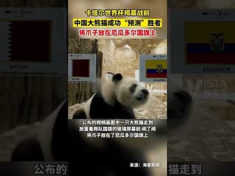 大乐透期号,专家质合分,马来超胜负,彩神争霸,彩票平台,安全购彩,彩票投注,在线彩票