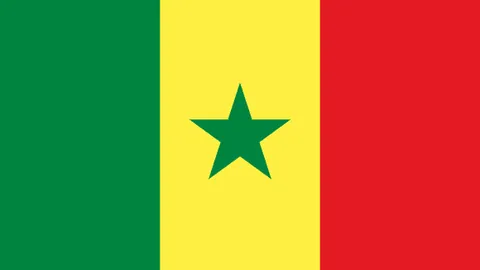 太阳惨败火箭，格林独得33分球队夺冠，布克得28分杜兰特伤退KD贡献11+7