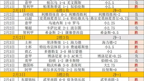 中国代表团勇夺亚冬会自由式滑雪空中技巧混合团体金牌，荣耀归国——环球时报·环球网报道